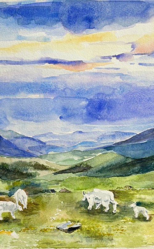 Mount Evans, Rocky Mountains by Geeta Yerra