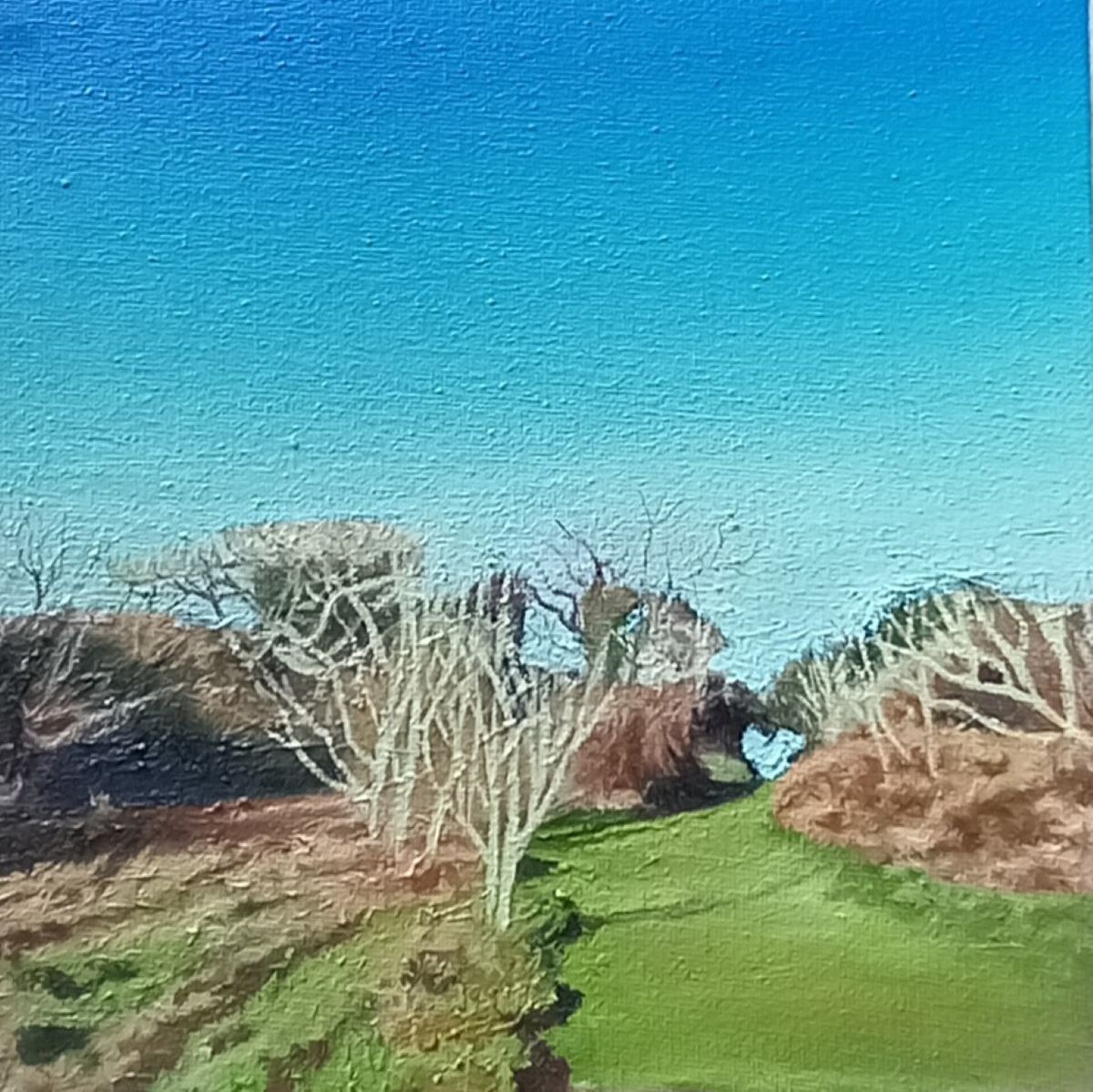 Landscape Oil Painting By Lisa Punter, 8 X 8", Sunny Winter Morning, Original Artwork