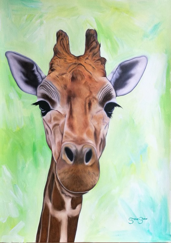 You've Got Some Neck. Giraffe Painting. Oil on Paper. 42cm x 59.4cm. Free Shipping