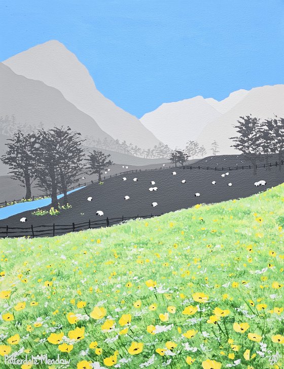 Patterdale Meadow