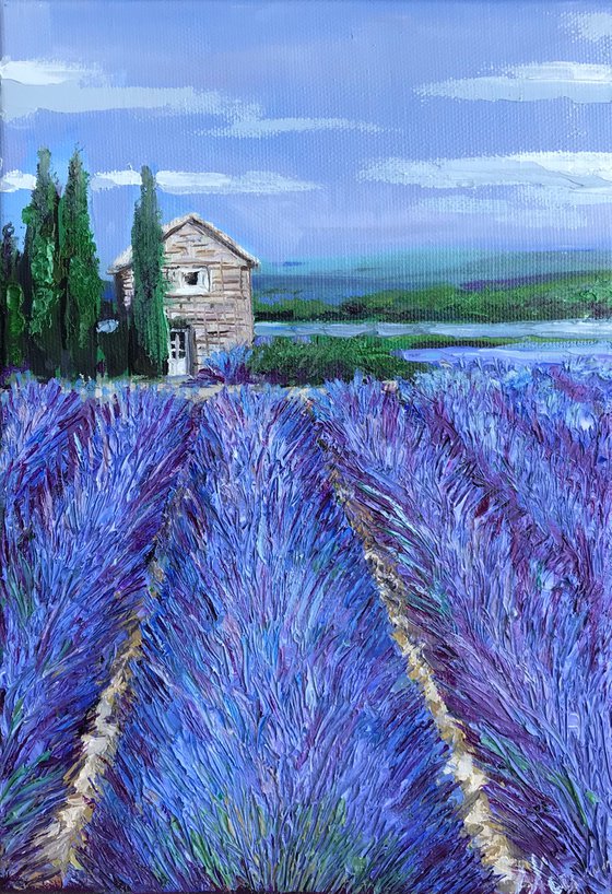 Provence, Lavender field 4 on canvas landscape art