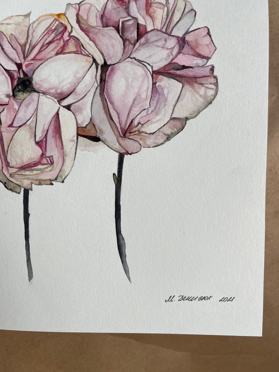 Pink roses pastel