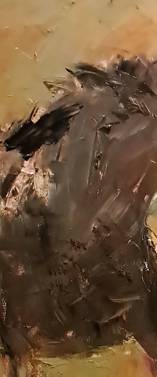 My Irish pony by Deborah Donnelly