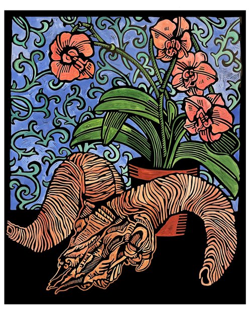 Skull and Orchid by Laurel Macdonald