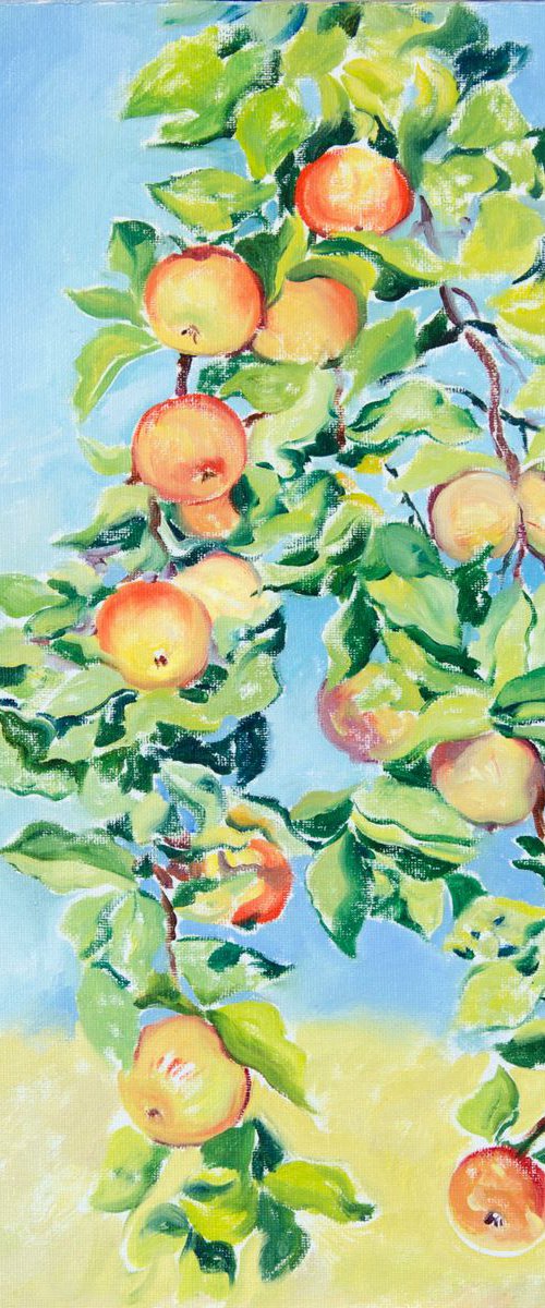 Apple branches by Daria Galinski