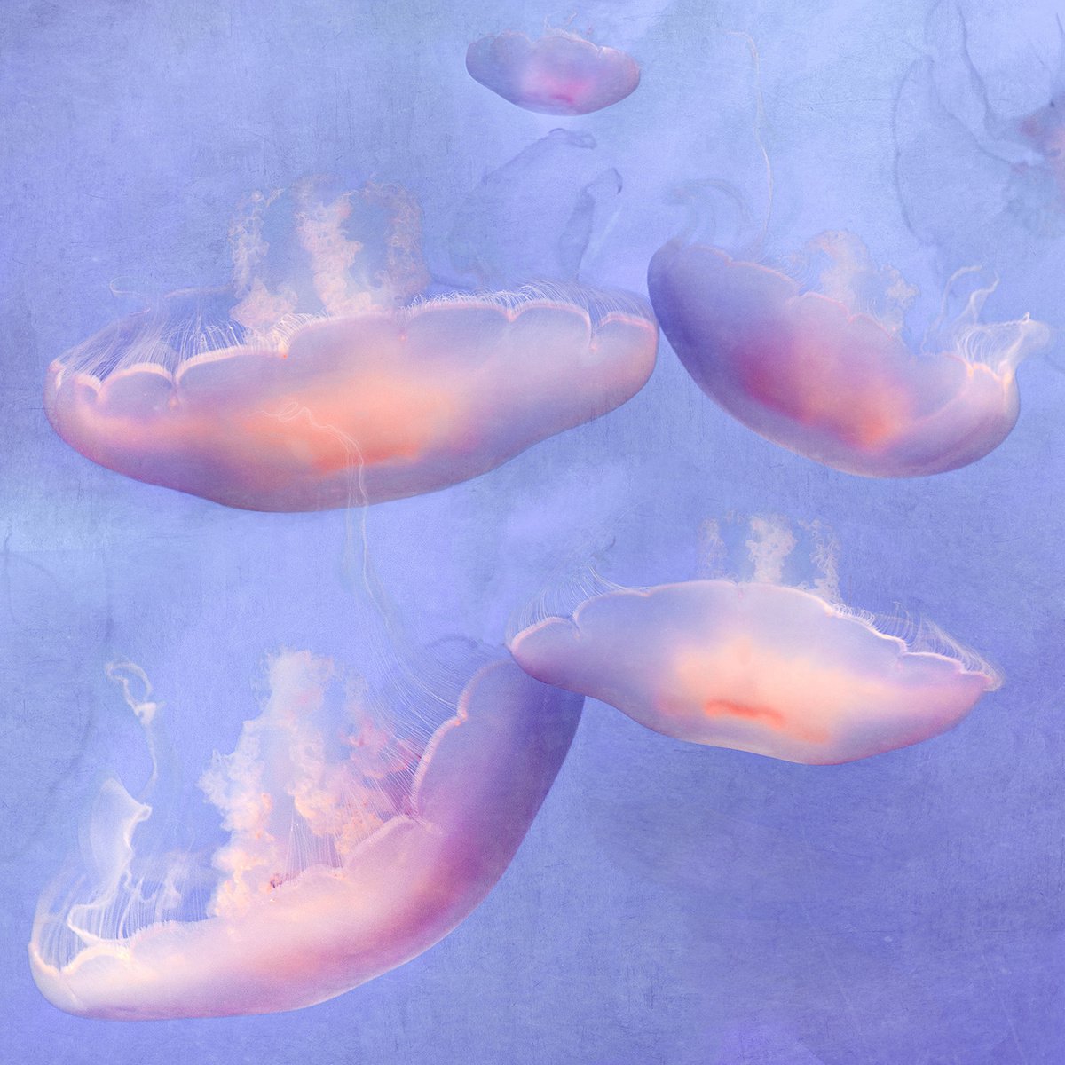 Impressionistic Landscape Photograph By Nadia Attura, 35 X 35", Monterey Quartz, Original Artwork