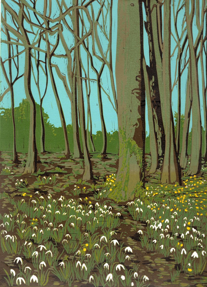 Snowdrops and Aconites by Roz Howling