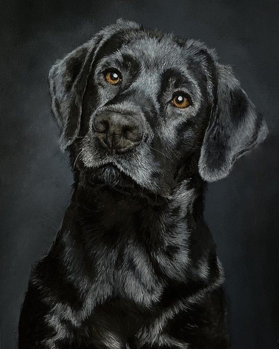 Black Labrador original painting