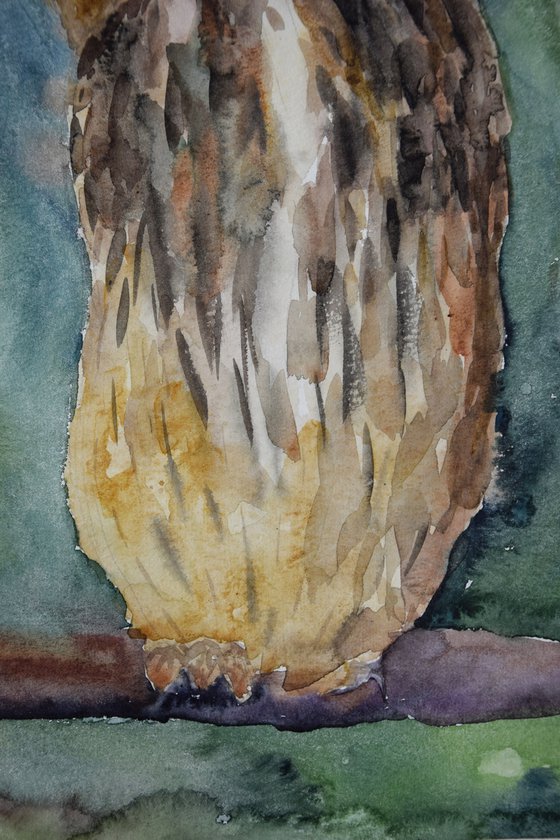 Owl watercolor painting, bird original artwork, nursery wall art