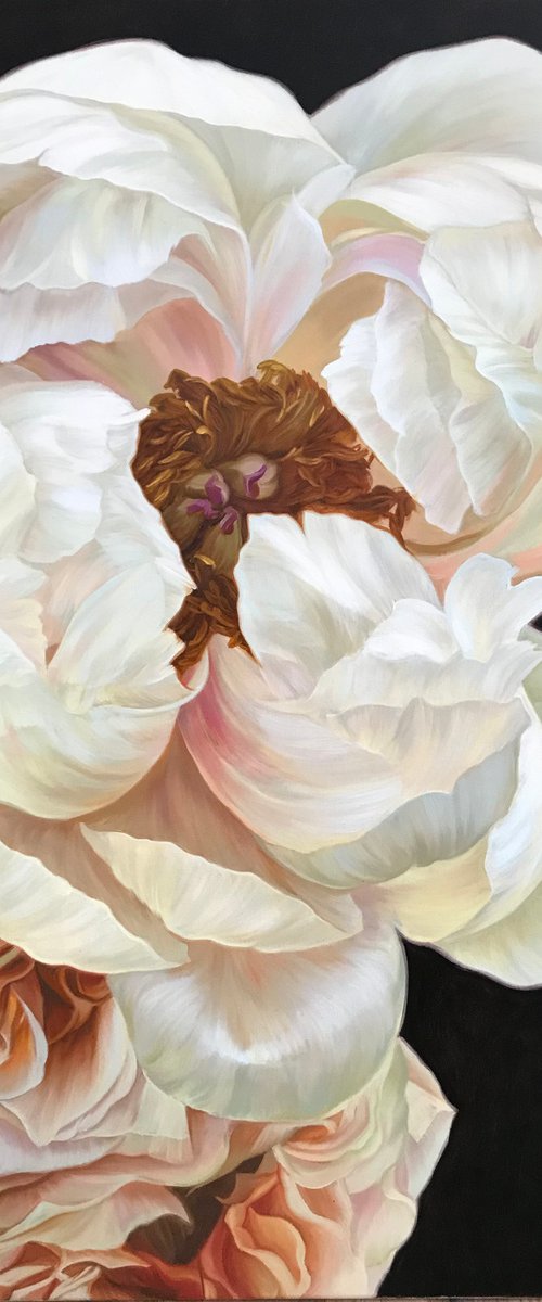 Peonies and roses by Elena