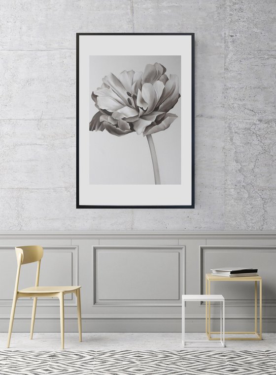 "Tulip" Black white oil flower