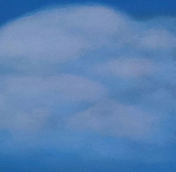 Springtime in my polder (3)