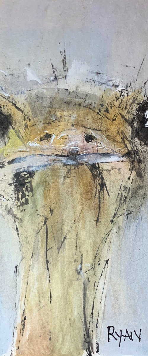 Ostrich by Ryan  Louder