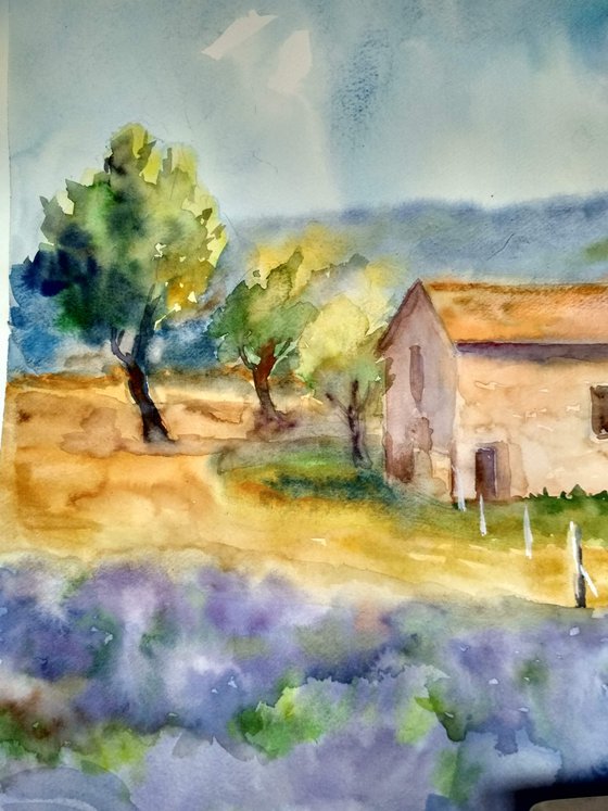 Provence