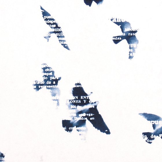 Cyanotype_03_A2_42x60 cm_Birds