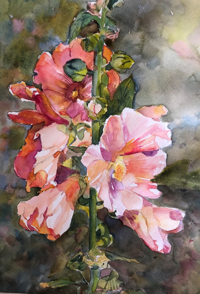 Impressionistic Botanical Watercolour By Bronwen Jones, 11 X 16, Hollyhocks, Original Artwork