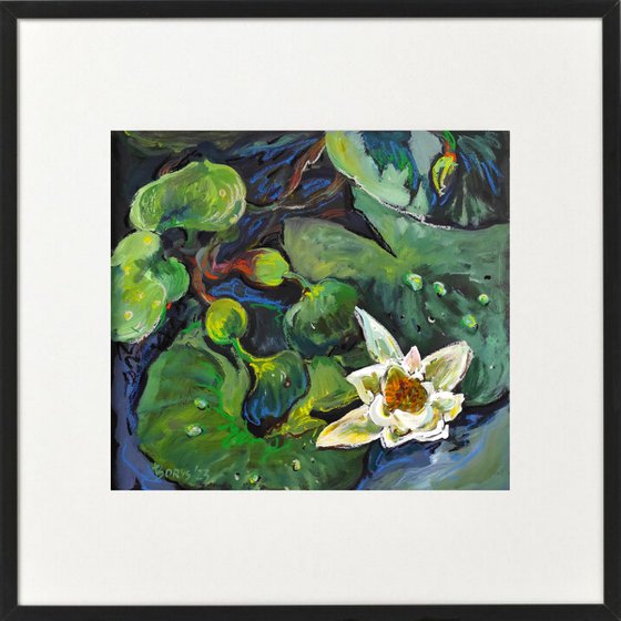Japanese pond with white lotuses on blue water