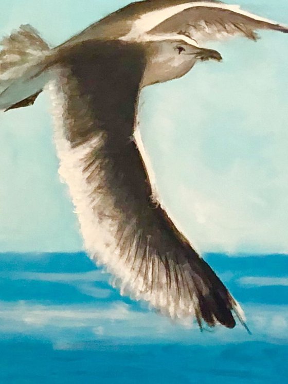 Bobby the seagull