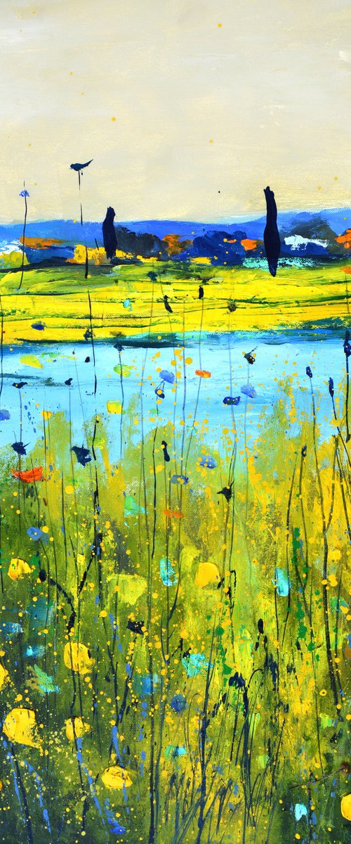 Colourful meadow 6726 by Pol Henry Ledent