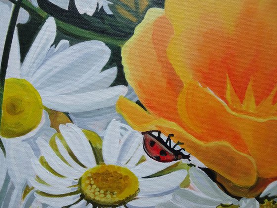 White Daisies And Californian Poppies