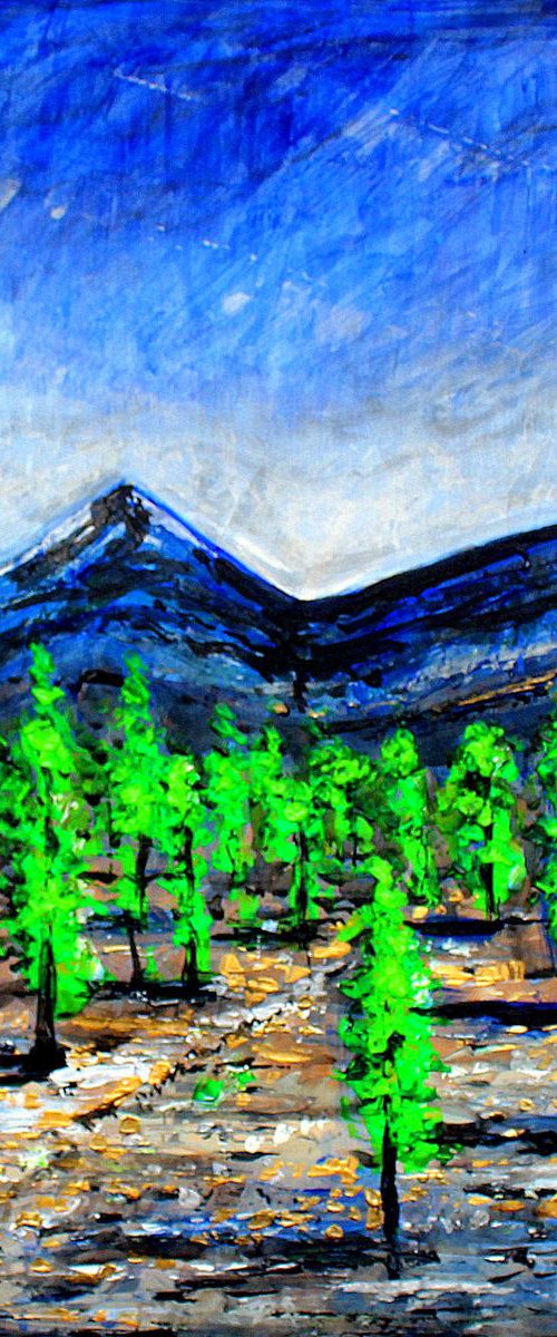 Teide-Tenerife by Paul J Best