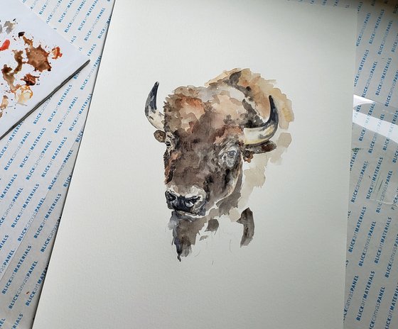 Bison - Buffalo - Wildlife - "Resilience"