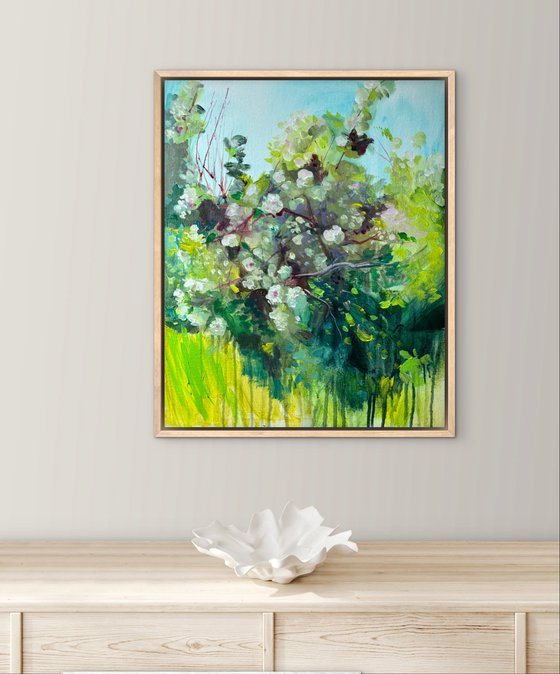 Apple orchard 6