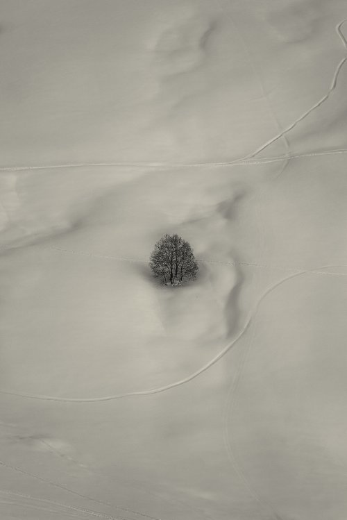 Winter by Yana Smietana