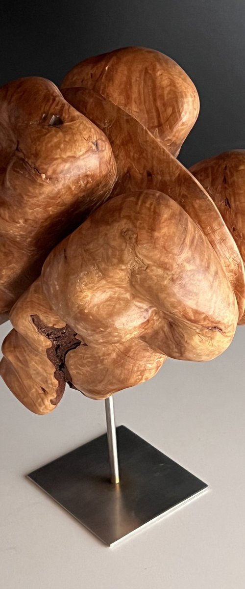 Walnut kernel by Roland Köpfer