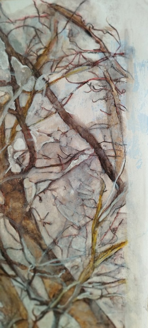Narva Trees