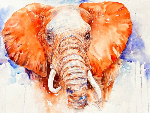 Tara the Elephant by Arti Chauhan