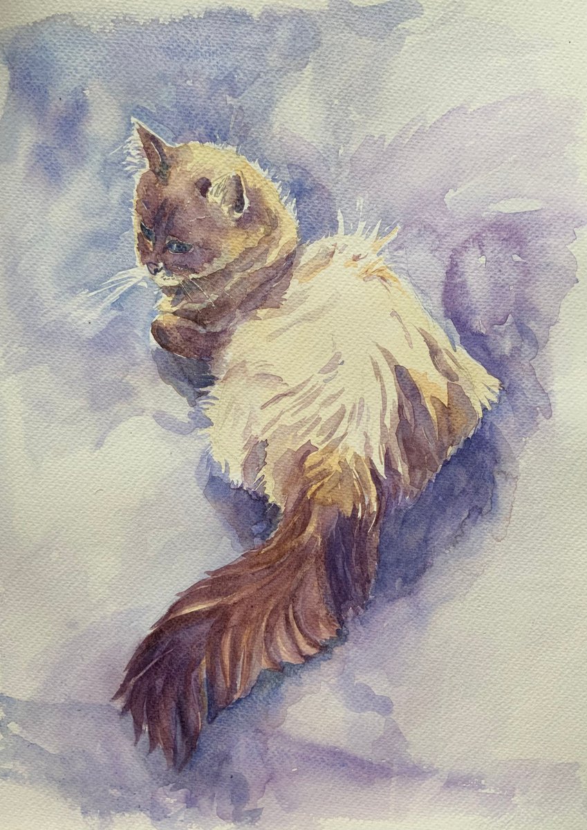 Impressionistic Watercolour , Relaxing Cat By Mary Stubberfield, 11 X 15, Artwork For Sale On Artfinder