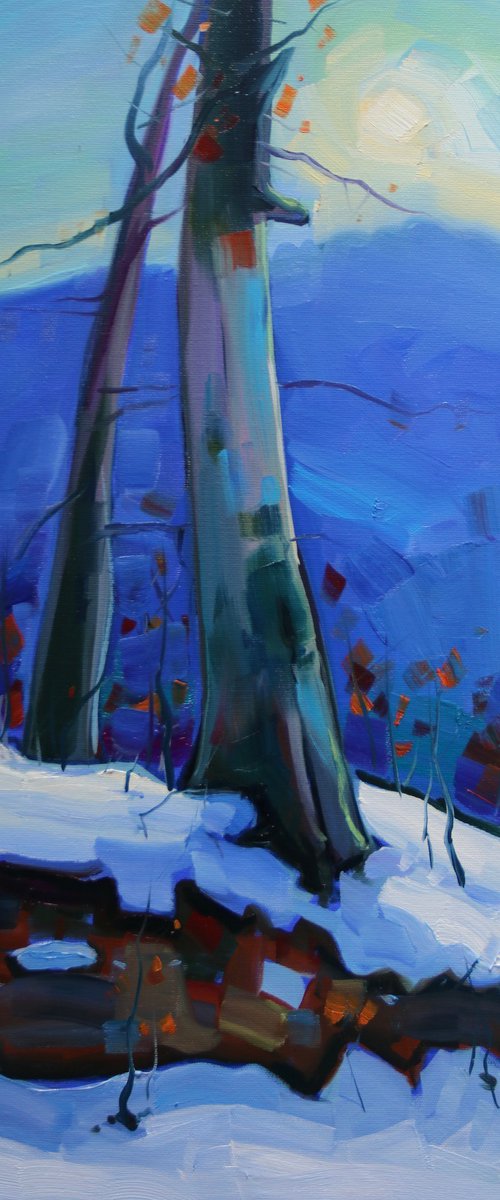 Winter day by Tigran Avetyan