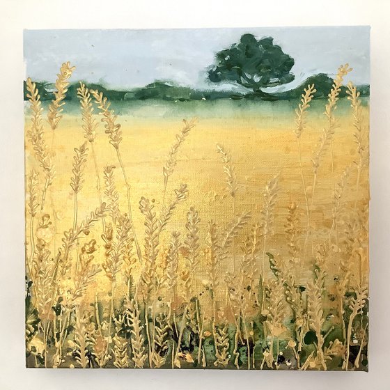 Little Wheat Field (1)