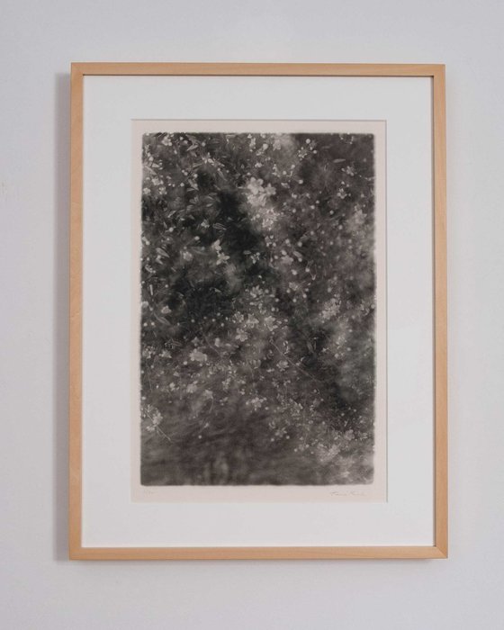 Folium 9 | Handmade Print