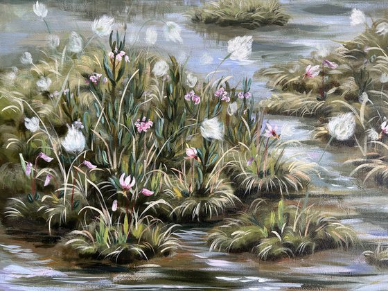 The Bog in Spring