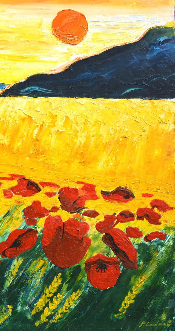 Red poppies in the sun
