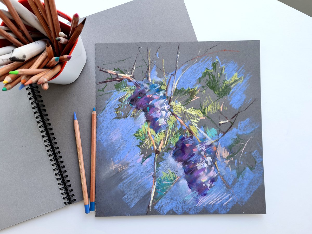 Grape. Sketch by Ekaterina Solod
