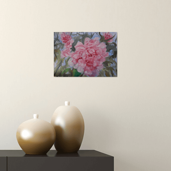 Pink Peonies flowers