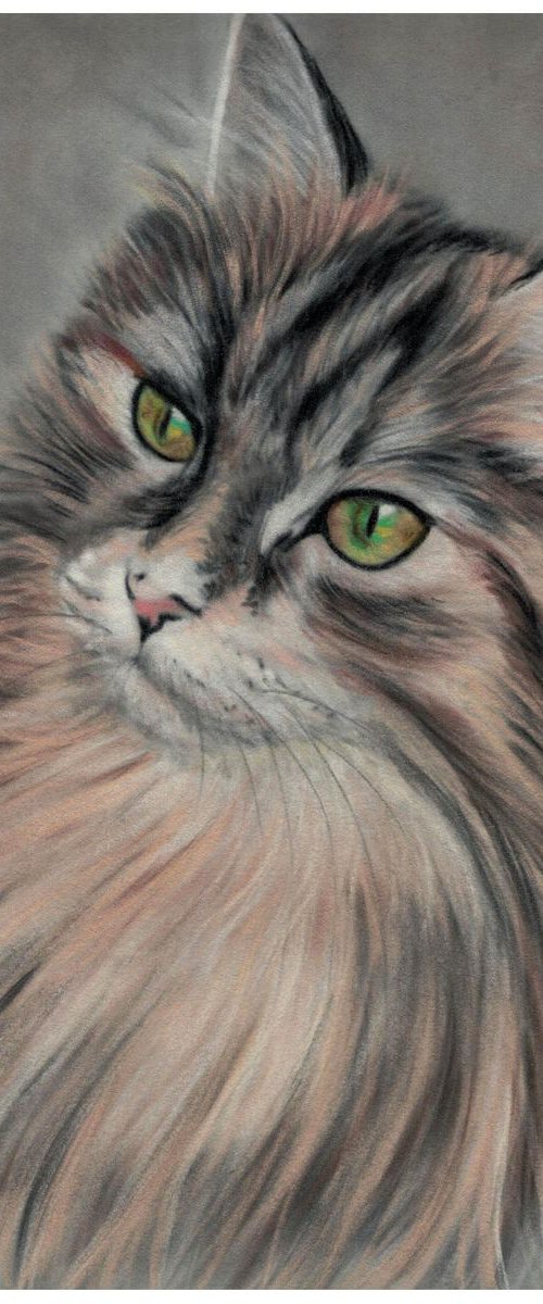 Pastel drawing on velour ,, Cat'' by Deimante Bruzguliene