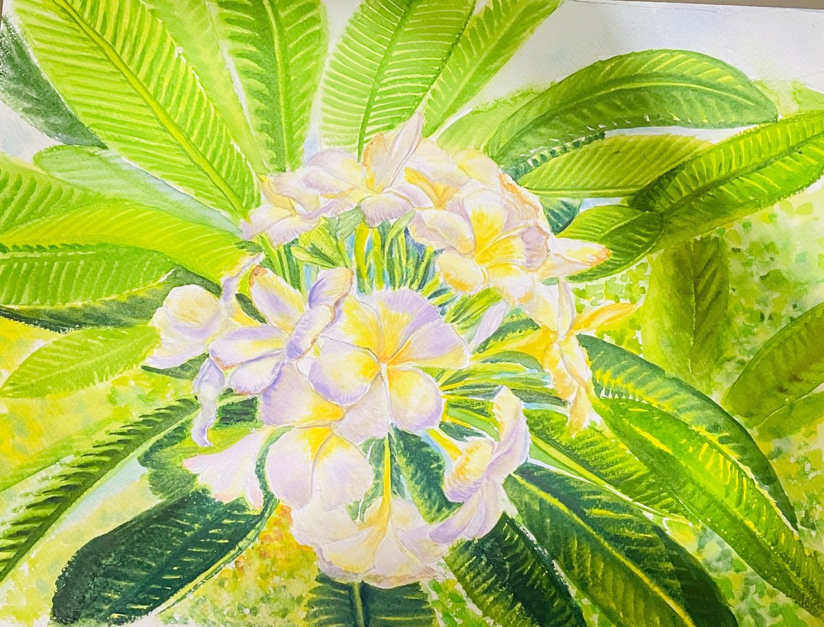 Impressionistic Botanical Watercolour By Neha Soni, 16 X 12", Plumeria Grace, Original Artwork