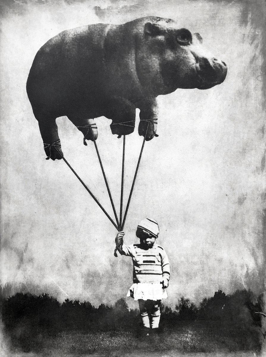 Surrealistic Animal Etchings & Engravings By Jaco Putker, 20 X 26, The Girl And The Balloon, Original Artwork