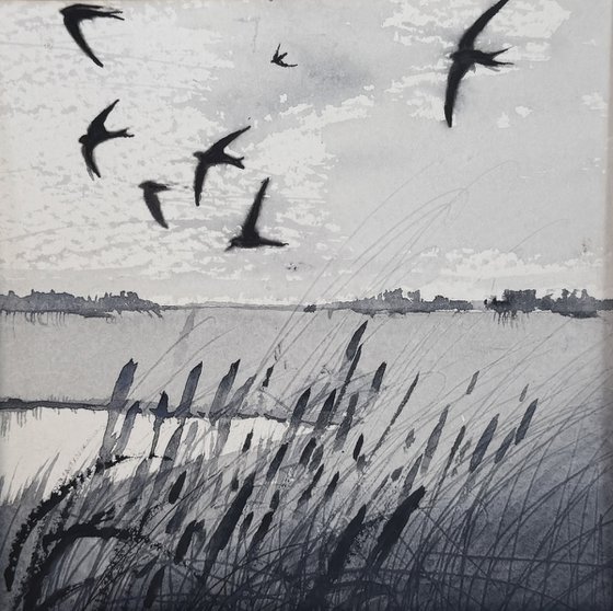 Marshes swallows