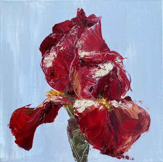 RED IRIS - original floral painting on canvas