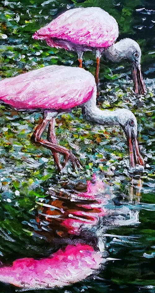 Roseate Spoonbills by Robbie Potter