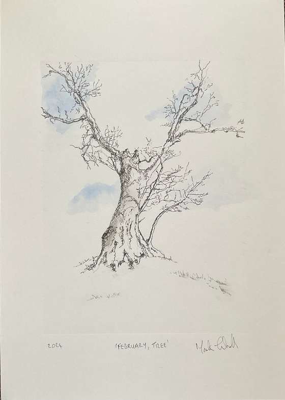 February Tree