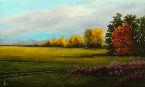 Wide field