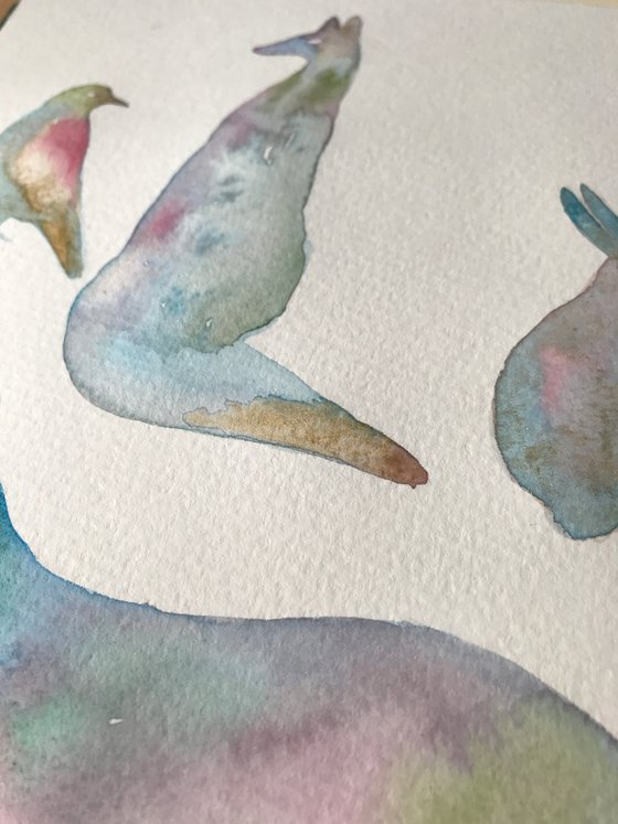 Animal Folklore