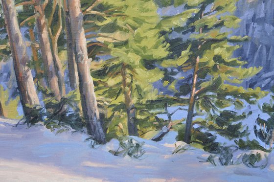 Winter afternoon on the Mézenc