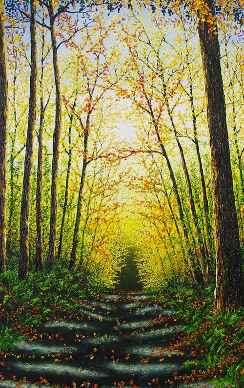Forest Glow by Hazel Thomson